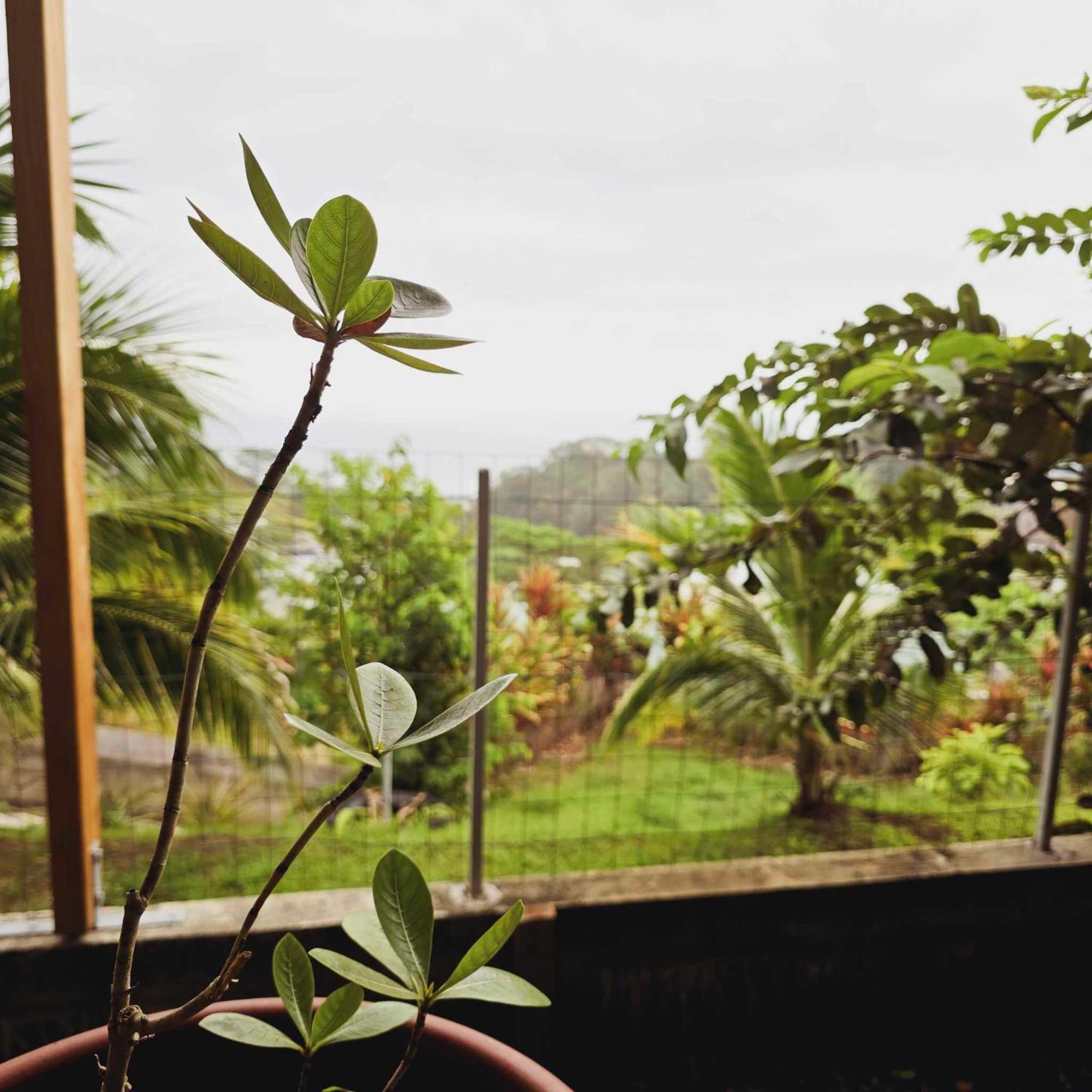 Fare Toahana, Accommodation With A Ocean View Faaa Exterior foto